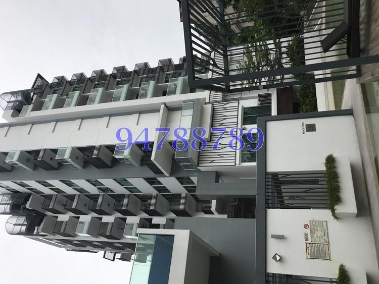 Natura@Hillview (D23), Apartment #148839122